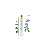 گلدان آپارتمانی تیلادنسیا