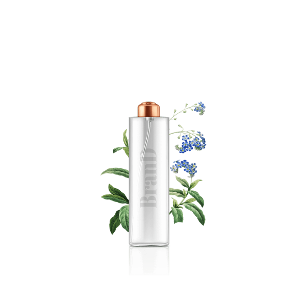 گلدان آپارتمانی تیلادنسیا - Image 1