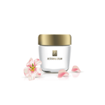 گلدان آپارتمانی دراسنا کامپکت - Image 3