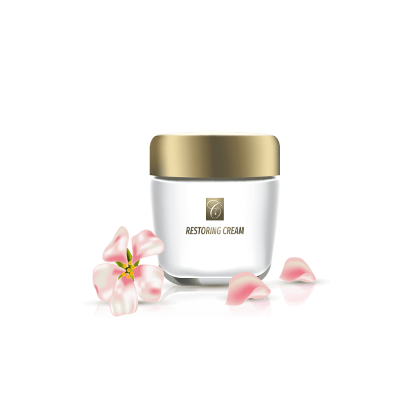 گلدان آپارتمانی دراسنا کامپکت - Image 3