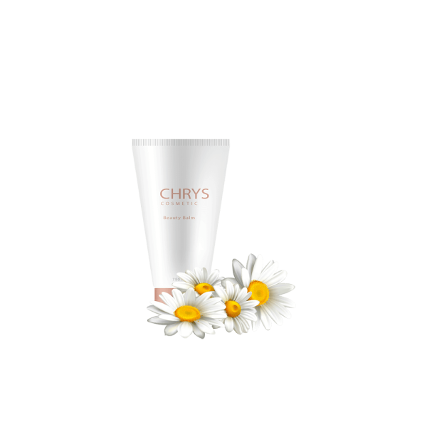 گلدان آپارتمانی پتوس - Image 2