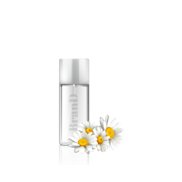 گلدان آپارتمانی تیلادنسیا - Image 3