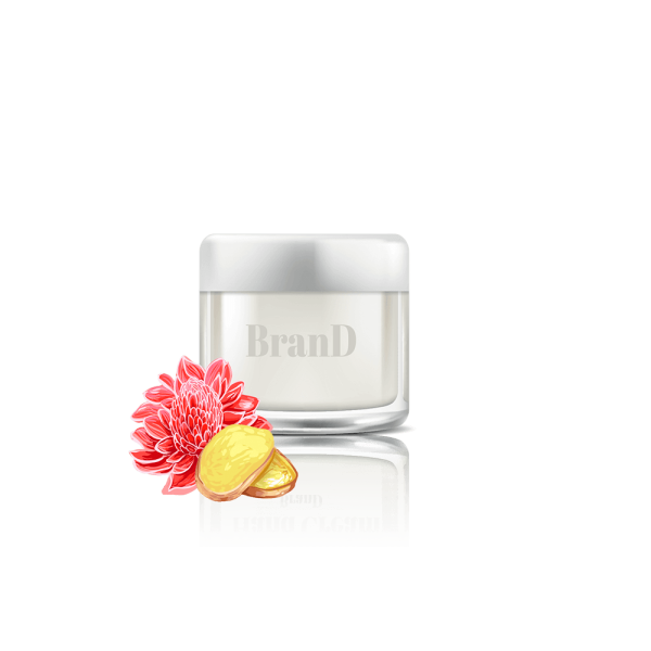 گلدان آپارتمانی تیلادنسیا - Image 4