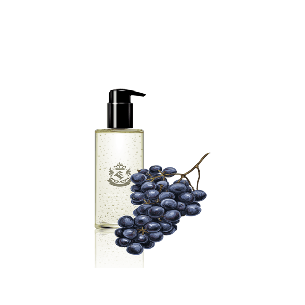 گلدان آپارتمانی یوکا بدون ساقه - Image 2