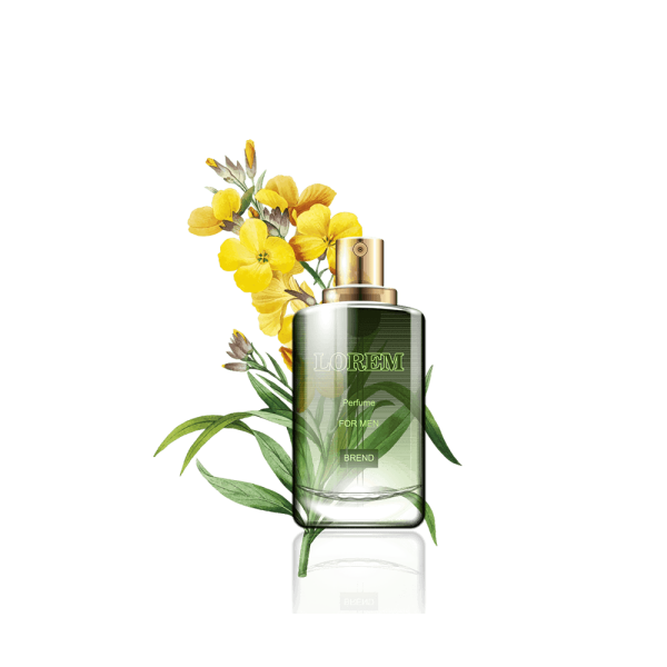 گلدان آپارتمانی دراسنا کامپکت - Image 1