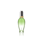 گلدان آپارتمانی تیلادنسیا - Image 2