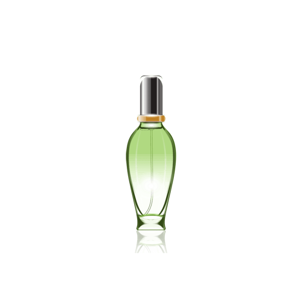 گلدان آپارتمانی تیلادنسیا - Image 2